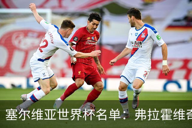 塞尔维亚世界杯名单：弗拉霍维奇领衔 古德利在列